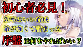 【ヘブバン+初心者向け】【ヘブバン】初心者・復帰した人必見！ゲーム始めたらまず何をやればいいの？効率のいい育成、敵が強くて詰んだ、リセマラ、など、逆にやらなくていいことも解説【Heaven Burns Red】